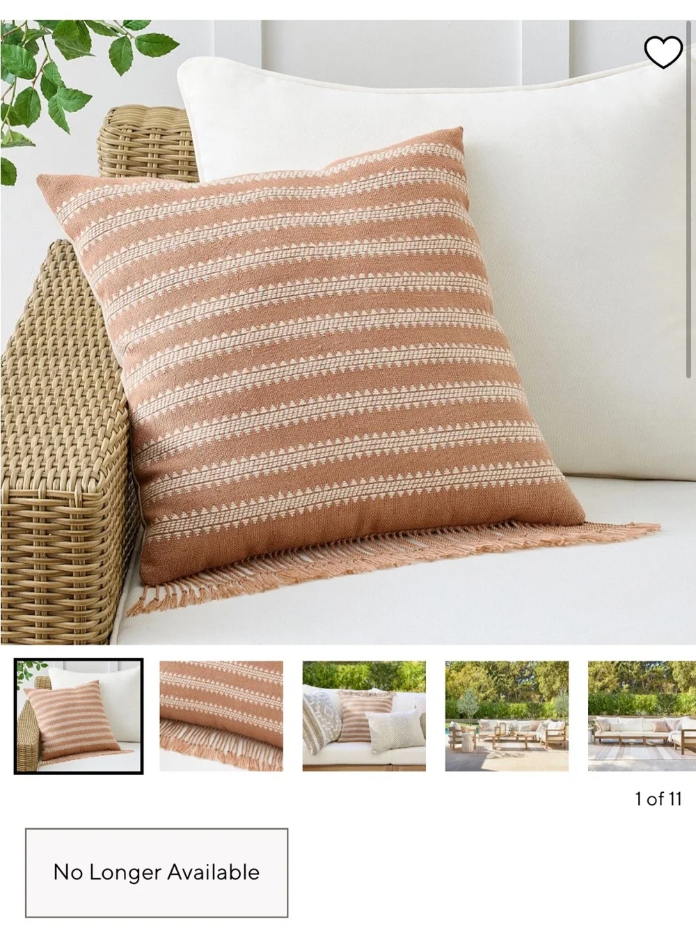 Pottery Barn Clemente Outdoor Pillow Bundle